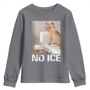 Funny Cat Meme No Ice Youth Sweatshirt Subtle FDT Political Satire Satirical Humor TS10 Charcoal Print Your Wear