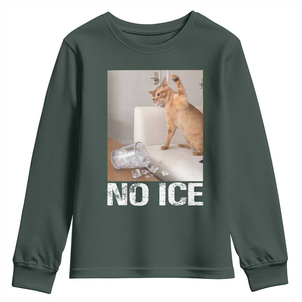 Funny Cat Meme No Ice Youth Sweatshirt Subtle FDT Political Satire Satirical Humor TS10 Dark Forest Green Print Your Wear