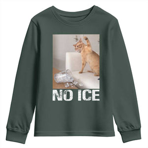 Funny Cat Meme No Ice Youth Sweatshirt Subtle FDT Political Satire Satirical Humor TS10 Dark Forest Green Print Your Wear