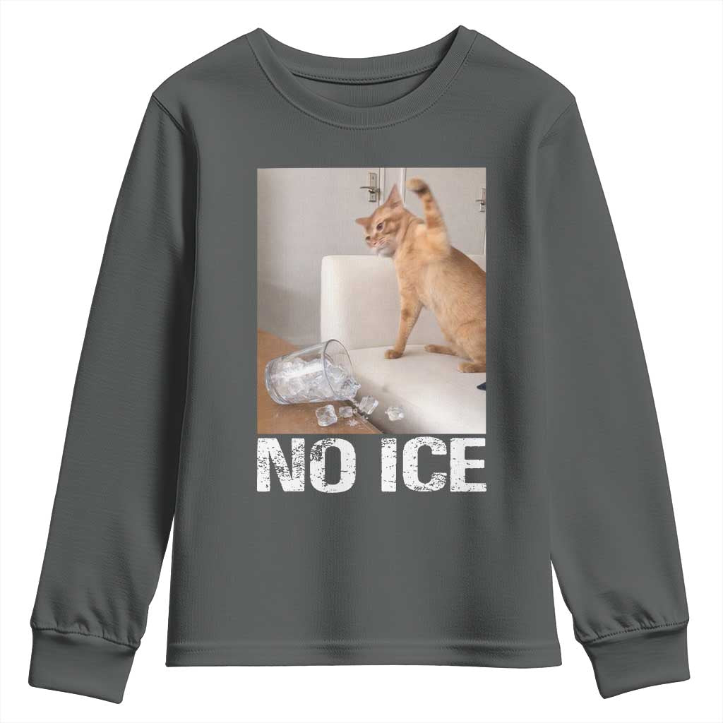 Funny Cat Meme No Ice Youth Sweatshirt Subtle FDT Political Satire Satirical Humor TS10 Dark Heather Print Your Wear