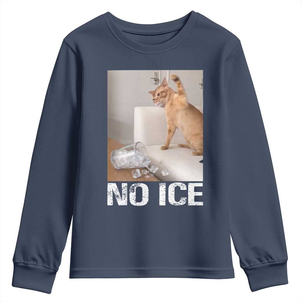 Funny Cat Meme No Ice Youth Sweatshirt Subtle FDT Political Satire Satirical Humor TS10 Navy Print Your Wear