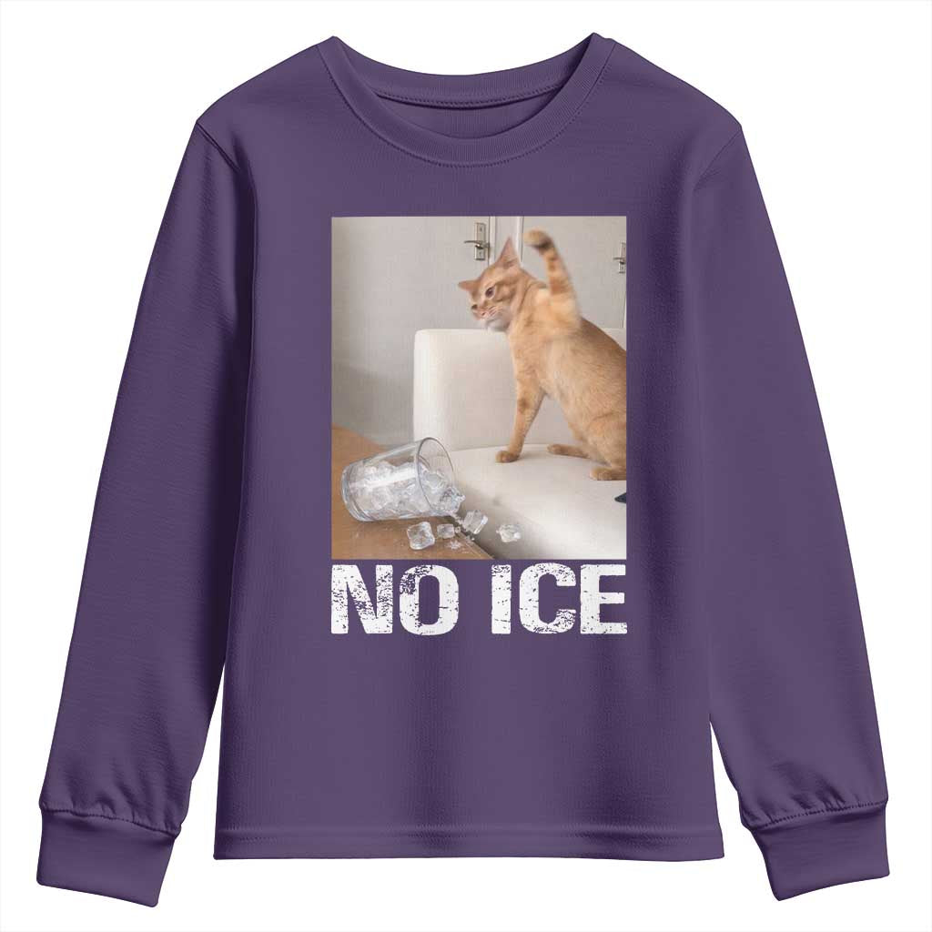 Funny Cat Meme No Ice Youth Sweatshirt Subtle FDT Political Satire Satirical Humor TS10 Purple Print Your Wear