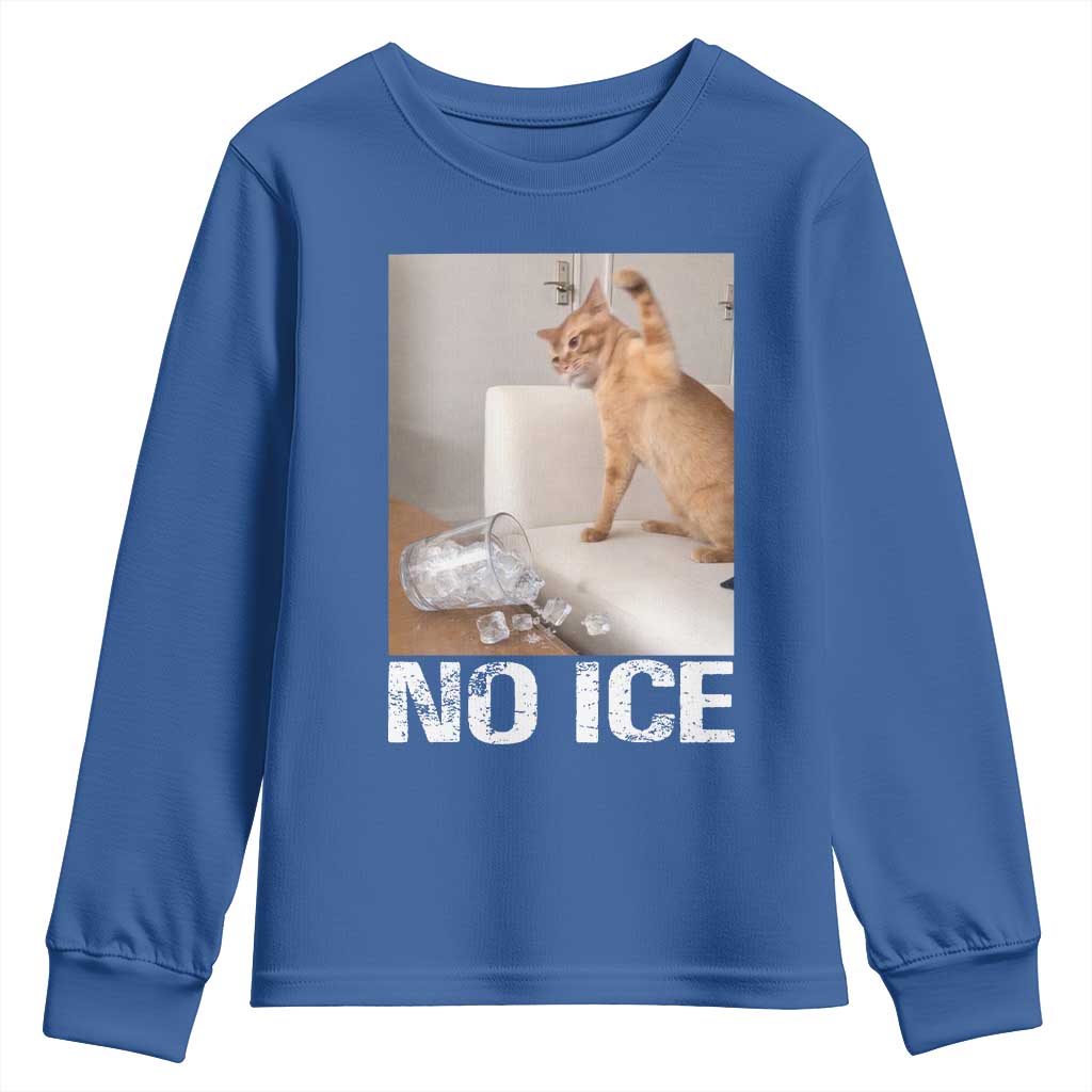 Funny Cat Meme No Ice Youth Sweatshirt Subtle FDT Political Satire Satirical Humor TS10 Royal Blue Print Your Wear