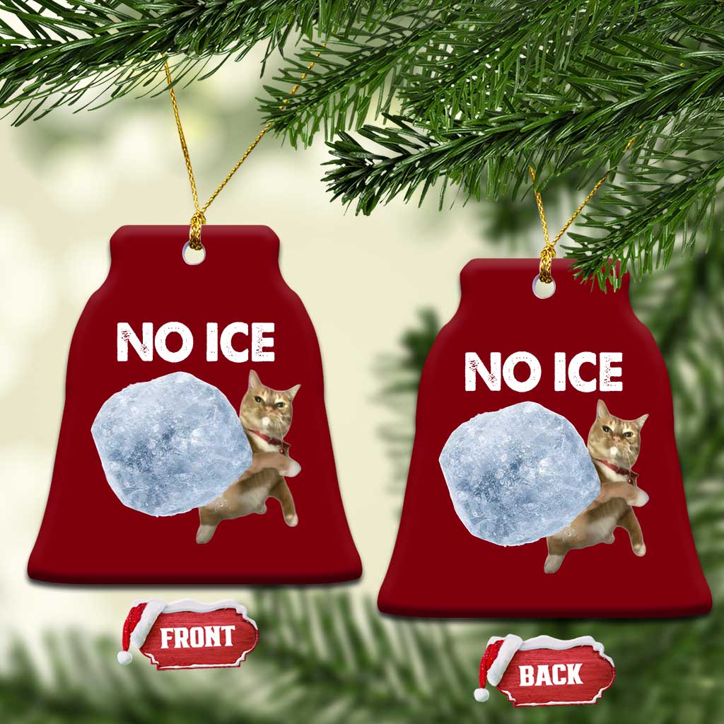 No Ice Ceramic Ornament Funny Cat Meme Subtle FDT Political Satire TS10 Print Your Wear
