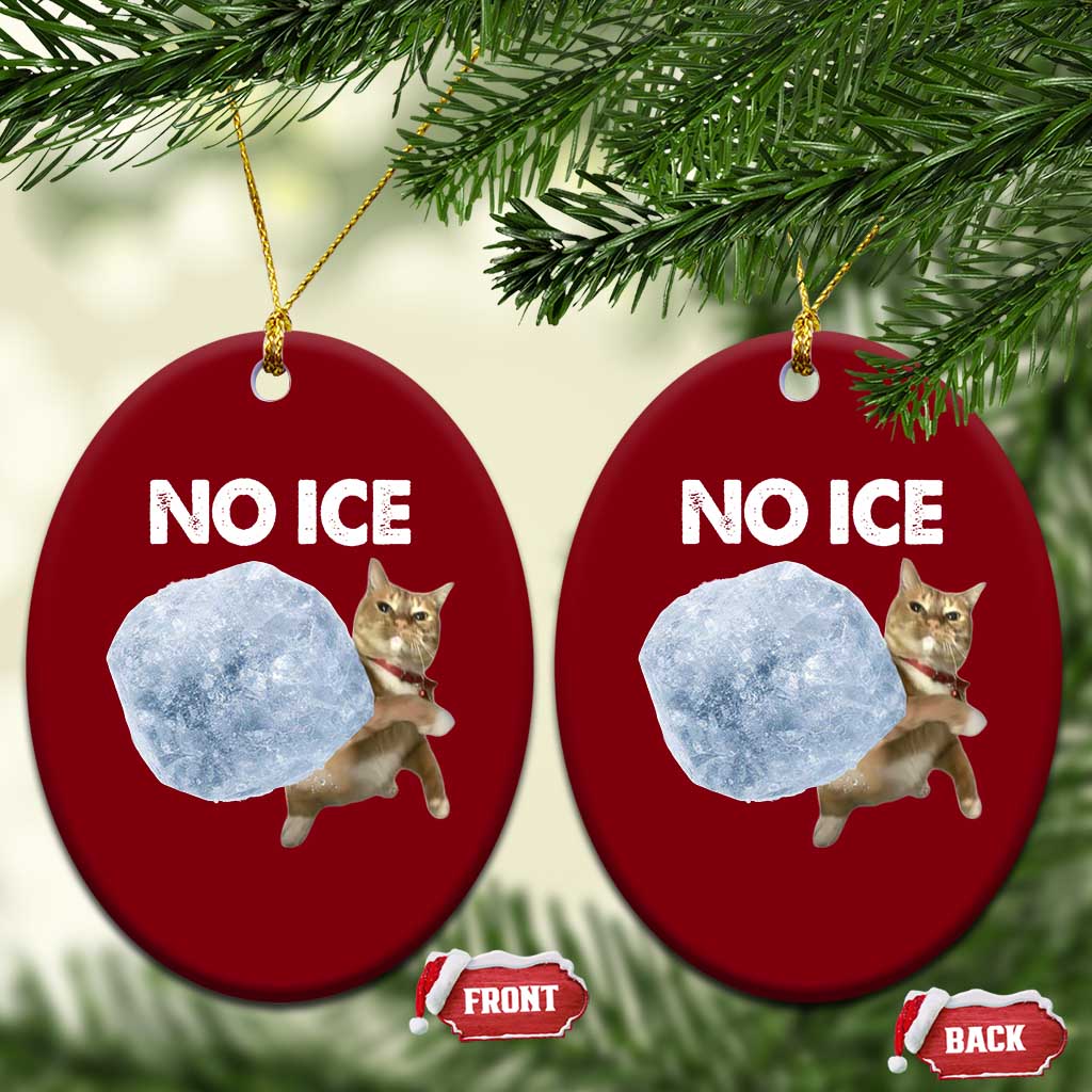 No Ice Ceramic Ornament Funny Cat Meme Subtle FDT Political Satire TS10 Print Your Wear