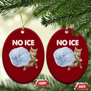 No Ice Ceramic Ornament Funny Cat Meme Subtle FDT Political Satire TS10 Print Your Wear