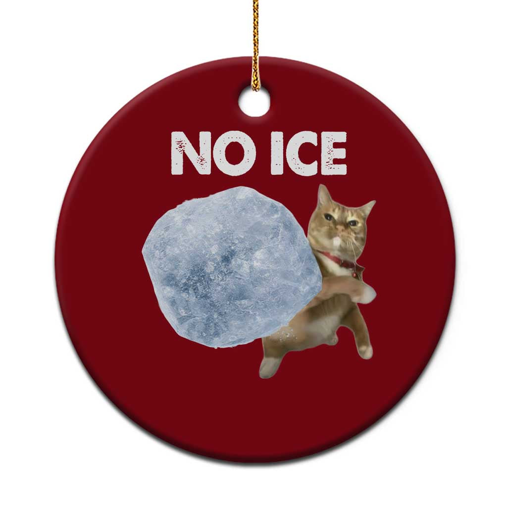 No Ice Ceramic Ornament Funny Cat Meme Subtle FDT Political Satire TS10 1pc Red Print Your Wear