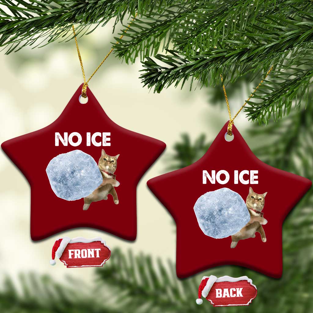 No Ice Ceramic Ornament Funny Cat Meme Subtle FDT Political Satire TS10 Print Your Wear