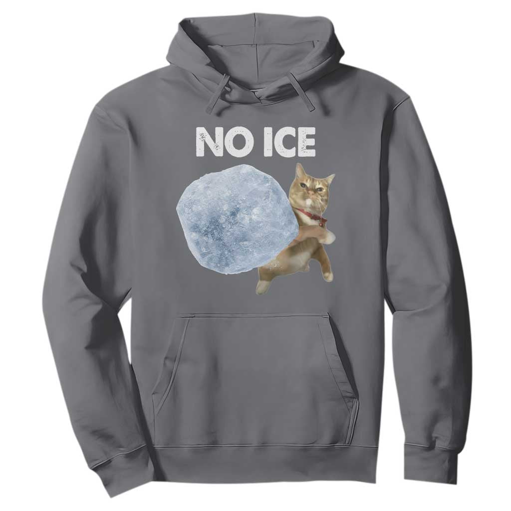 No Ice Hoodie Funny Cat Meme Subtle FDT Political Satire TS10 Charcoal Print Your Wear