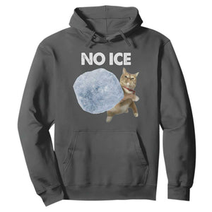 No Ice Hoodie Funny Cat Meme Subtle FDT Political Satire TS10 Dark Heather Print Your Wear