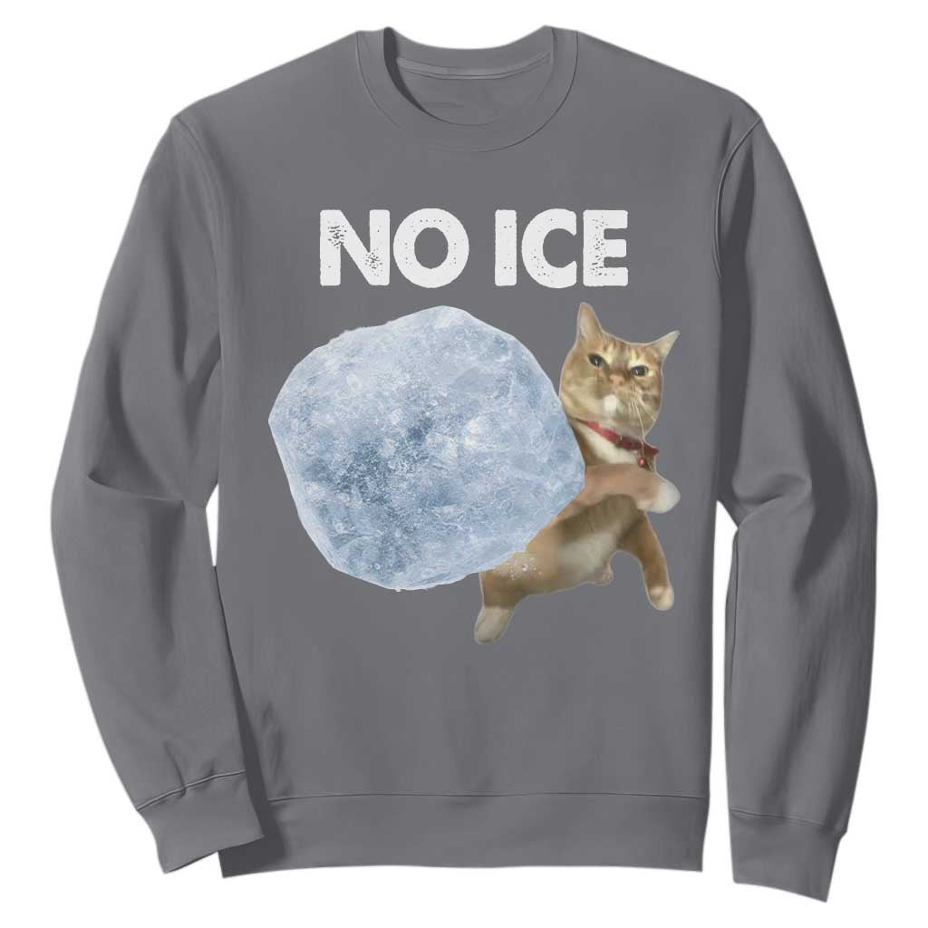 No Ice Sweatshirt Funny Cat Meme Subtle FDT Political Satire TS10 Charcoal Print Your Wear