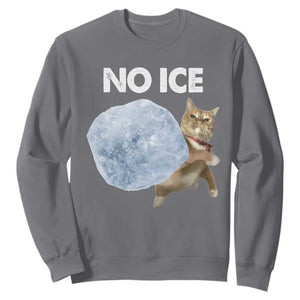 No Ice Sweatshirt Funny Cat Meme Subtle FDT Political Satire TS10 Charcoal Print Your Wear