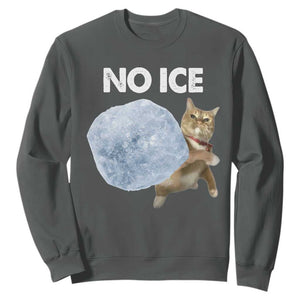 No Ice Sweatshirt Funny Cat Meme Subtle FDT Political Satire TS10 Dark Heather Print Your Wear
