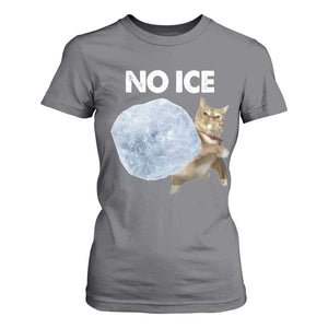 No Ice T Shirt For Women Funny Cat Meme Subtle FDT Political Satire TS10 Charcoal Print Your Wear