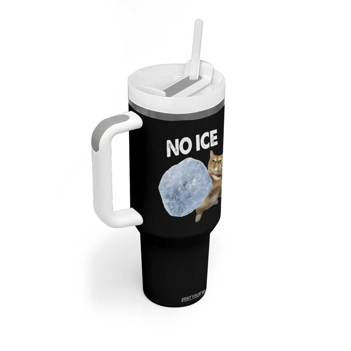 No Ice Tumbler With Handle Funny Cat Meme Subtle FDT Political Satire TS10 Print Your Wear