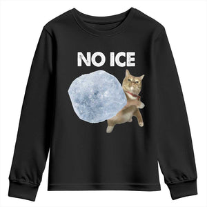 No Ice Youth Sweatshirt Funny Cat Meme Subtle FDT Political Satire TS10 Black Print Your Wear