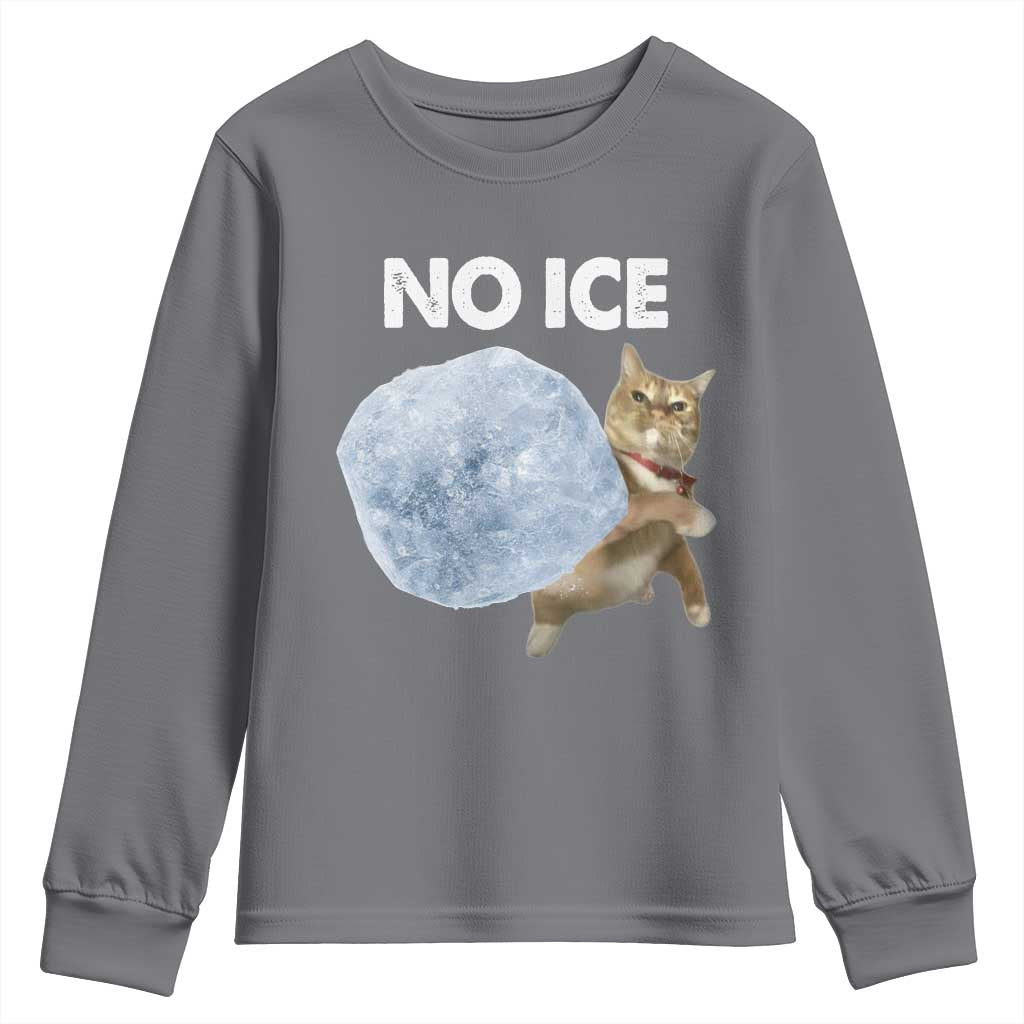 No Ice Youth Sweatshirt Funny Cat Meme Subtle FDT Political Satire TS10 Charcoal Print Your Wear
