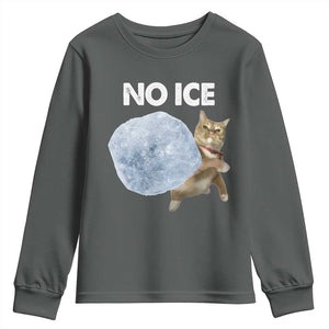 No Ice Youth Sweatshirt Funny Cat Meme Subtle FDT Political Satire TS10 Dark Heather Print Your Wear