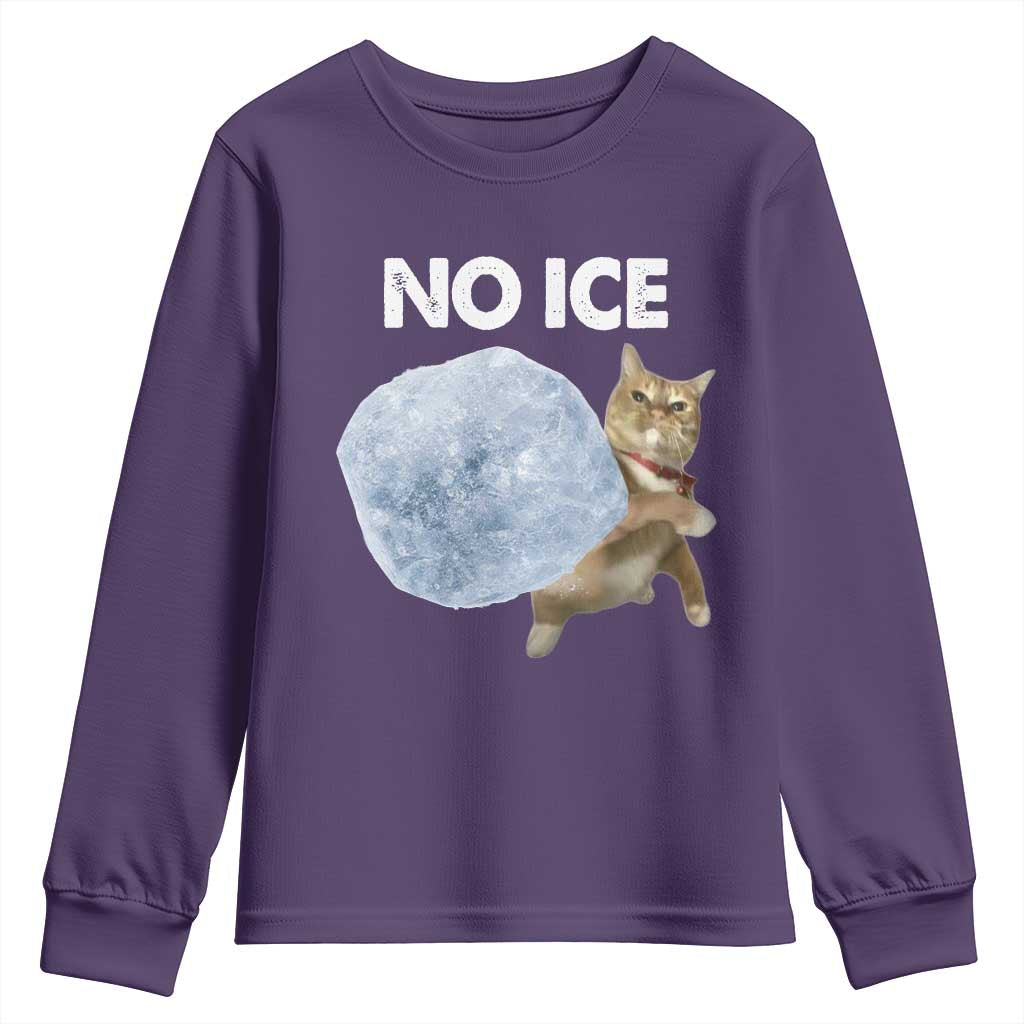 No Ice Youth Sweatshirt Funny Cat Meme Subtle FDT Political Satire TS10 Purple Print Your Wear