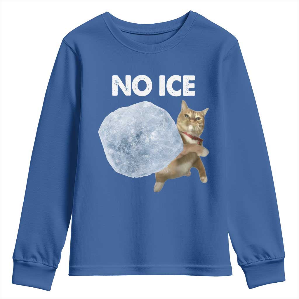 No Ice Youth Sweatshirt Funny Cat Meme Subtle FDT Political Satire TS10 Royal Blue Print Your Wear