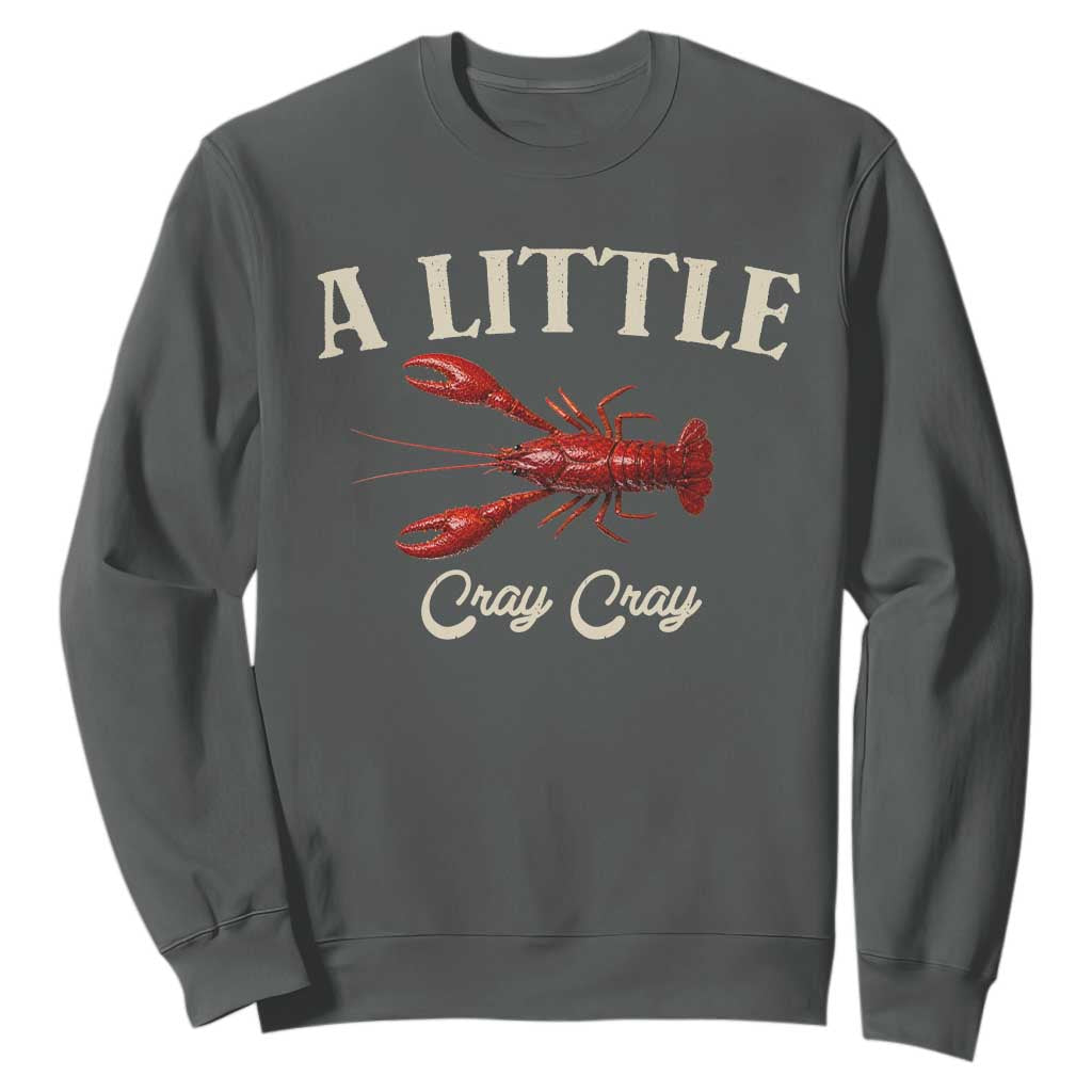 Crawfish Lovers Sweatshirt A Little Cray Crayfish Boils Cajun Seafood Festival TS10 Dark Heather Print Your Wear