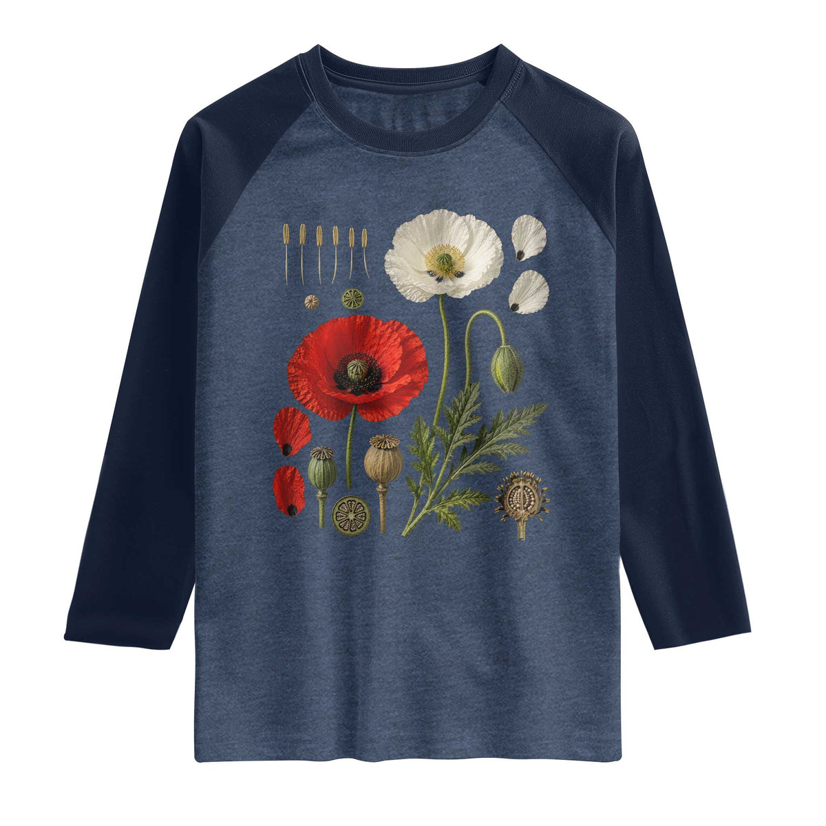 Summer Red Poppy Flower Botanical Poppies Vintage Print Memorial Day Floral Graphic Raglan Shirt