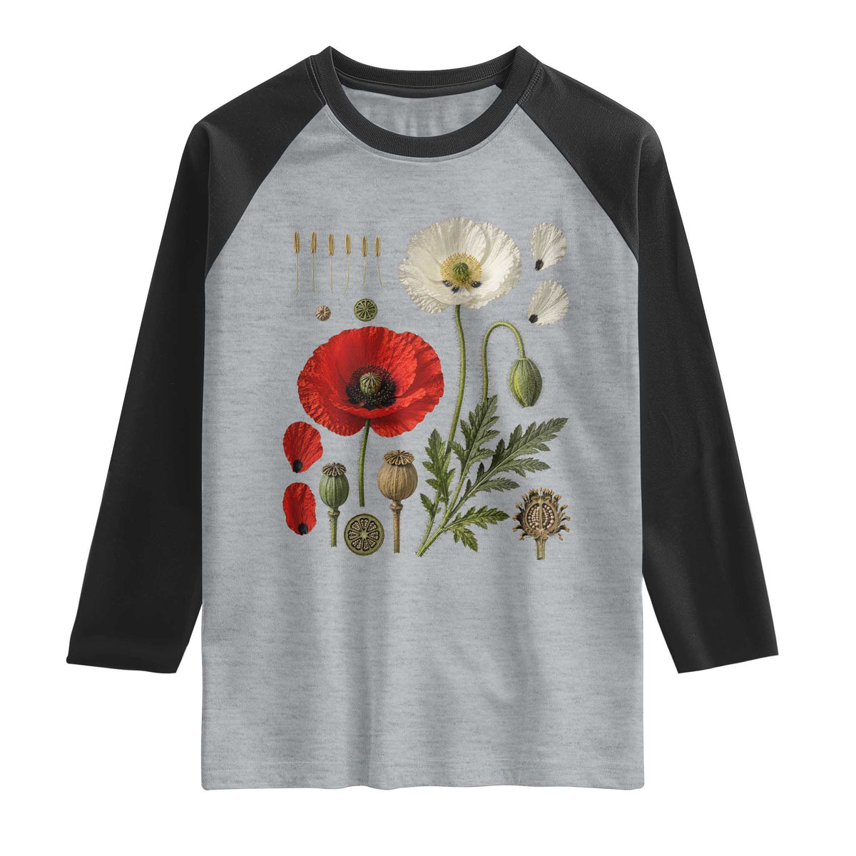 Summer Red Poppy Flower Botanical Poppies Vintage Print Memorial Day Floral Graphic Raglan Shirt