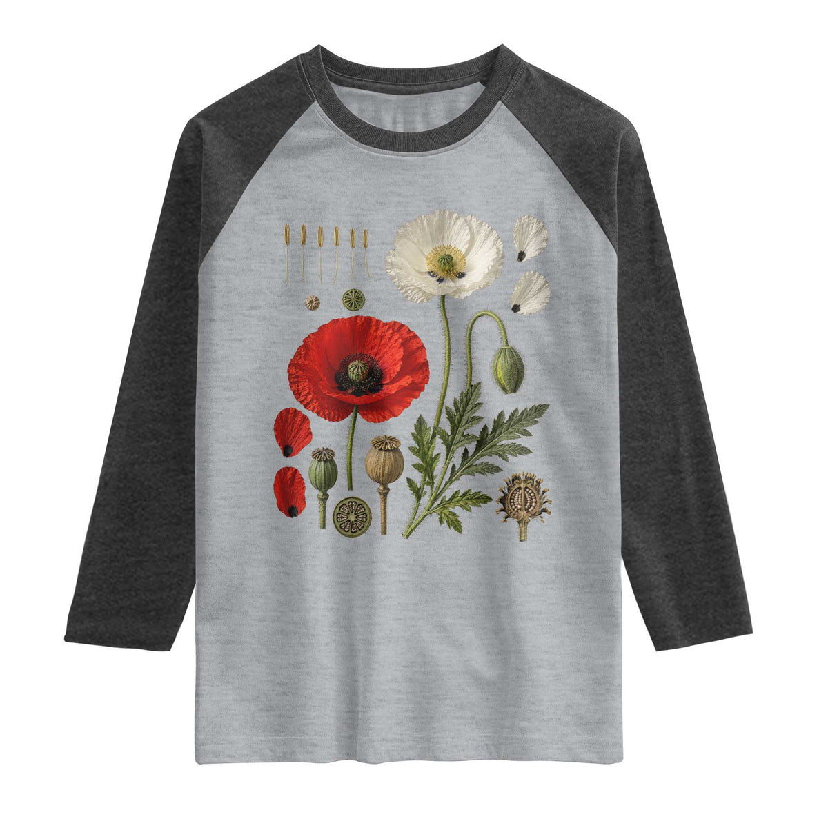Summer Red Poppy Flower Botanical Poppies Vintage Print Memorial Day Floral Graphic Raglan Shirt