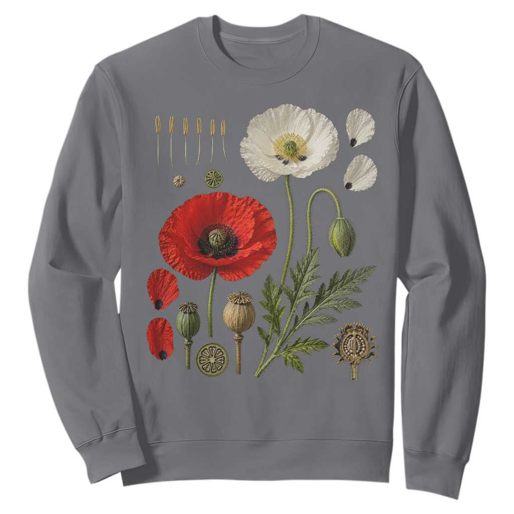 Summer Red Poppy Flower Botanical Poppies Vintage Print Memorial Day Floral Graphic Sweatshirt