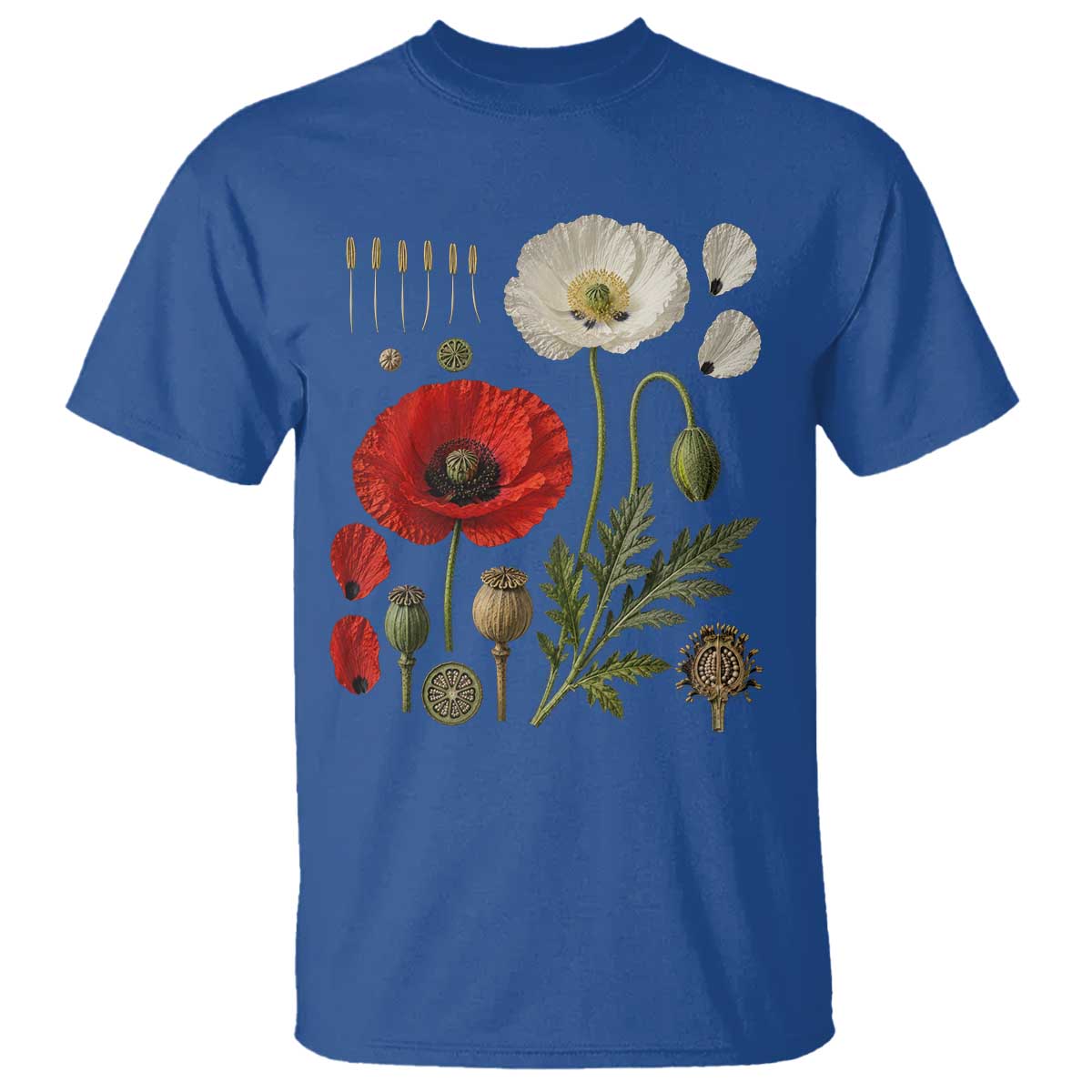 Summer Red Poppy Flower Botanical Poppies Vintage Print Memorial Day Floral Graphic T Shirt