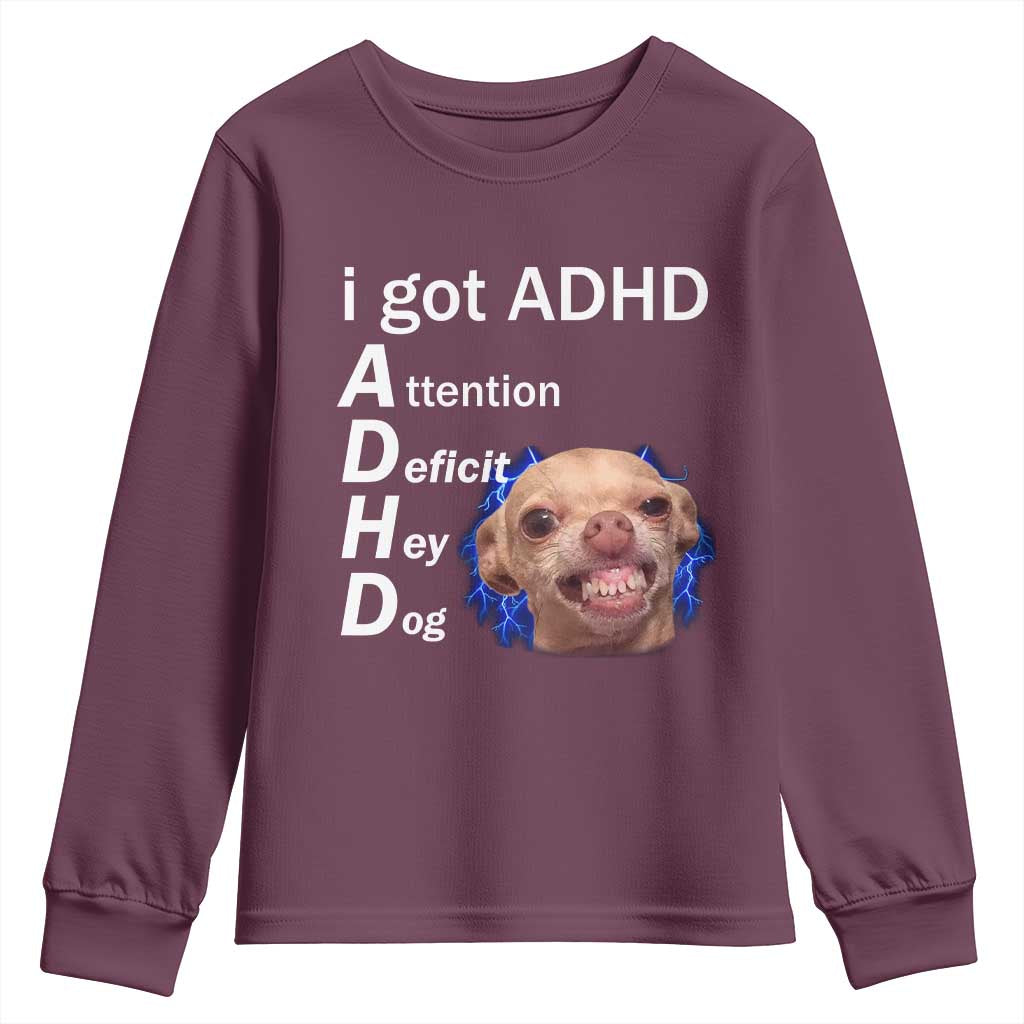 Funny ADHD Dog Meme Youth Sweatshirt Attention Deficit Hey Dog Humor Lovers TS10 Maroon Print Your Wear
