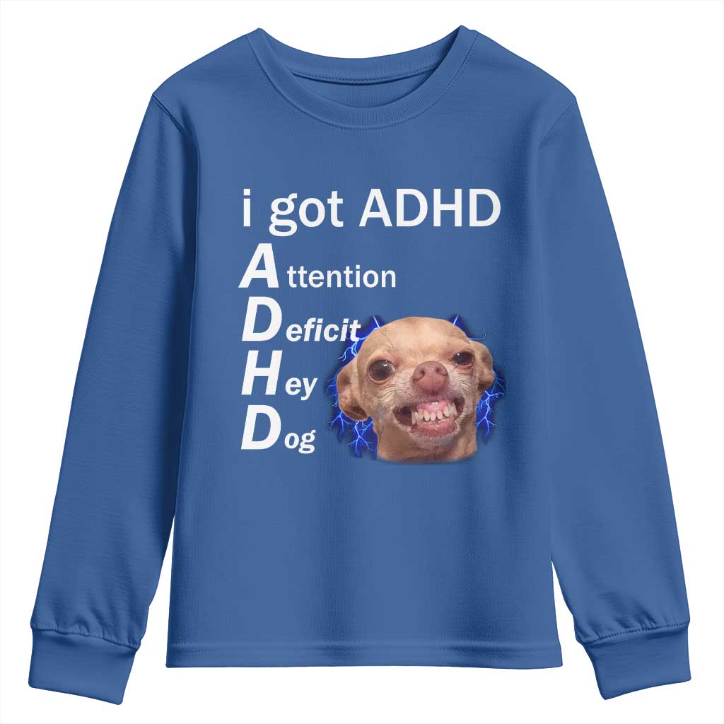 Funny ADHD Dog Meme Youth Sweatshirt Attention Deficit Hey Dog Humor Lovers TS10 Royal Blue Print Your Wear