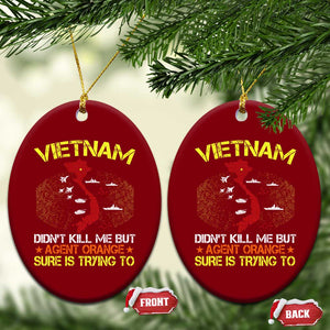Agent Orange Dioxin Ceramic Ornament Vietnam Veteran Vet Gifts TS10 Print Your Wear