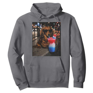 4th Of July Dachshund Drinking Slushie Hoodie Patriotic 250 Anniversary USA Dog Lovers Funny Meme