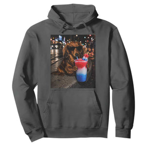 4th Of July Dachshund Drinking Slushie Hoodie Patriotic 250 Anniversary USA Dog Lovers Funny Meme