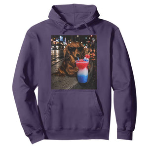 4th Of July Dachshund Drinking Slushie Hoodie Patriotic 250 Anniversary USA Dog Lovers Funny Meme