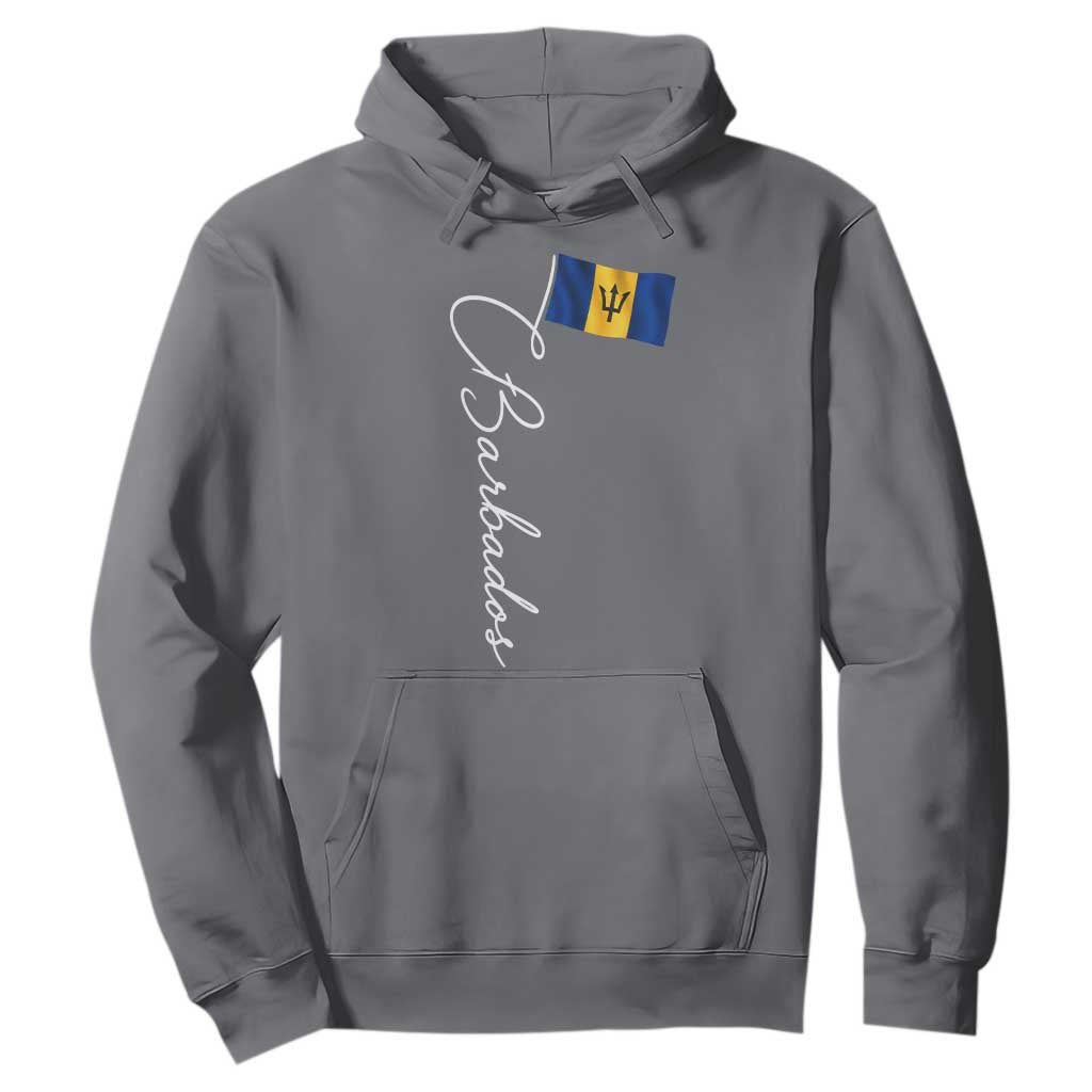 Barbados Flag Hoodie Elegant Barbados Pride Patriotic Island Heritage Gift TS10 Charcoal Print Your Wear