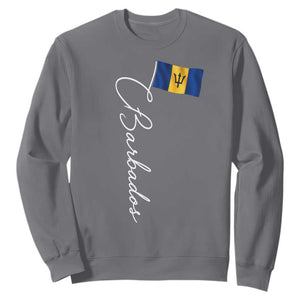 Barbados Flag Sweatshirt Elegant Barbados Pride Patriotic Island Heritage Gift TS10 Charcoal Print Your Wear