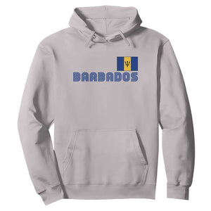 Retro Barbados Hoodie Vintage Barbadian Souvenir Caribbean Island Pride Heritage Gift TS10 Ice Gray Print Your Wear