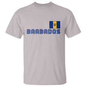 Retro Barbados T Shirt Vintage Barbadian Souvenir Caribbean Island Pride Heritage Gift TS10 Ice Gray Print Your Wear