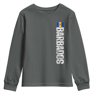 Barbados Flag Youth Sweatshirt Distressed Vertical Typography Caribbean Island Pride Heritage Gift TS10 Dark Heather Print Your Wear