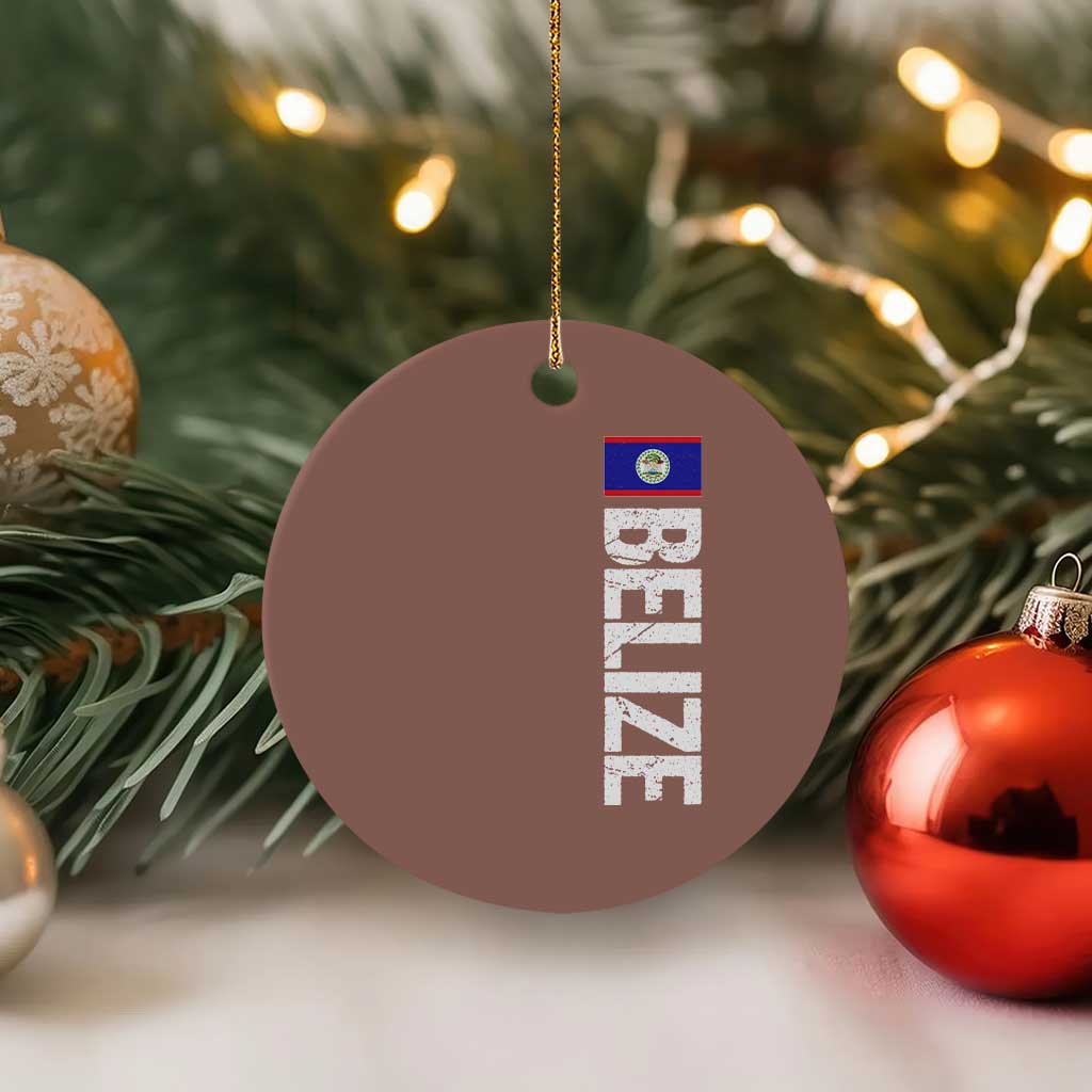 Belize Flag Ceramic Ornament Distressed Central American Pride Heritage Gift TS10 1pc Mocha Print Your Wear