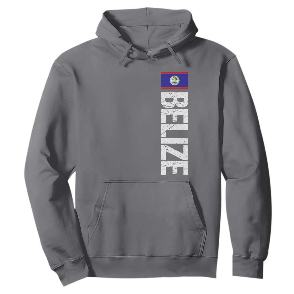 Belize Flag Hoodie Distressed Central American Pride Heritage Gift TS10 Charcoal Print Your Wear