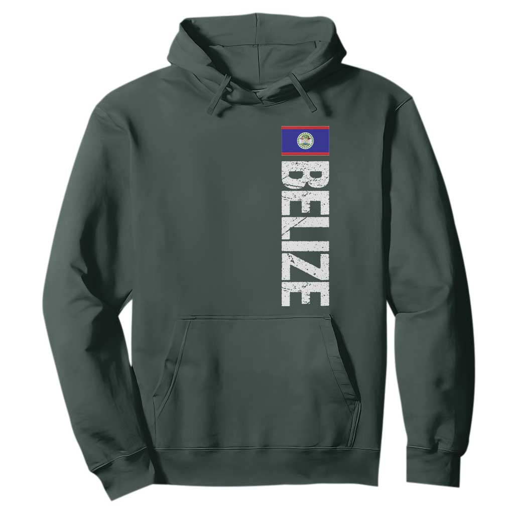 Belize Flag Hoodie Distressed Central American Pride Heritage Gift TS10 Dark Forest Green Print Your Wear