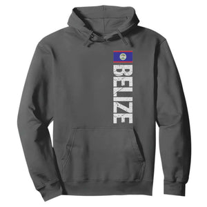 Belize Flag Hoodie Distressed Central American Pride Heritage Gift TS10 Dark Heather Print Your Wear