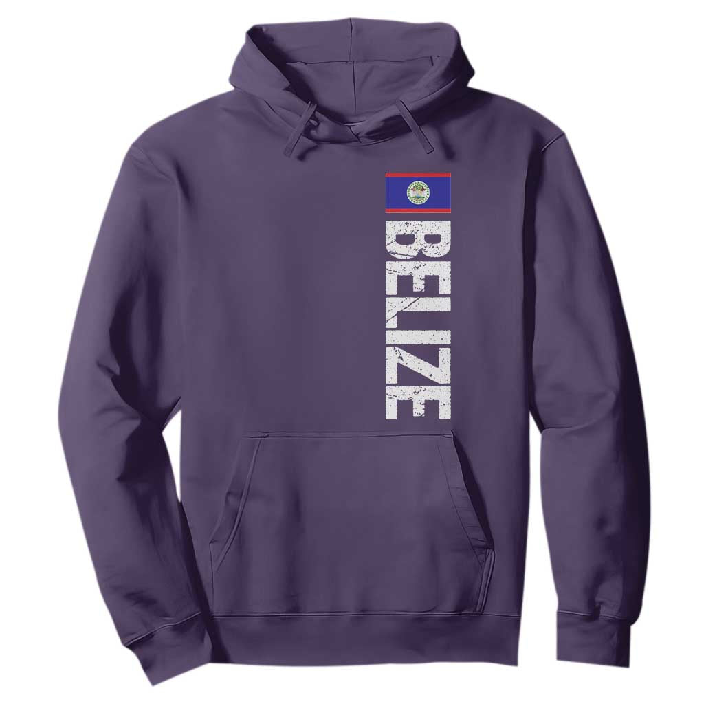 Belize Flag Hoodie Distressed Central American Pride Heritage Gift TS10 S Purple Print Your Wear