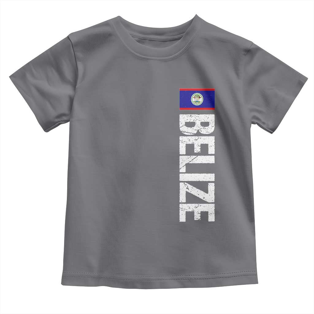 Belize Flag Toddler T Shirt Distressed Central American Pride Heritage Gift TS10 Charcoal Print Your Wear