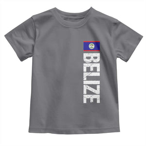 Belize Flag Toddler T Shirt Distressed Central American Pride Heritage Gift TS10 Charcoal Print Your Wear