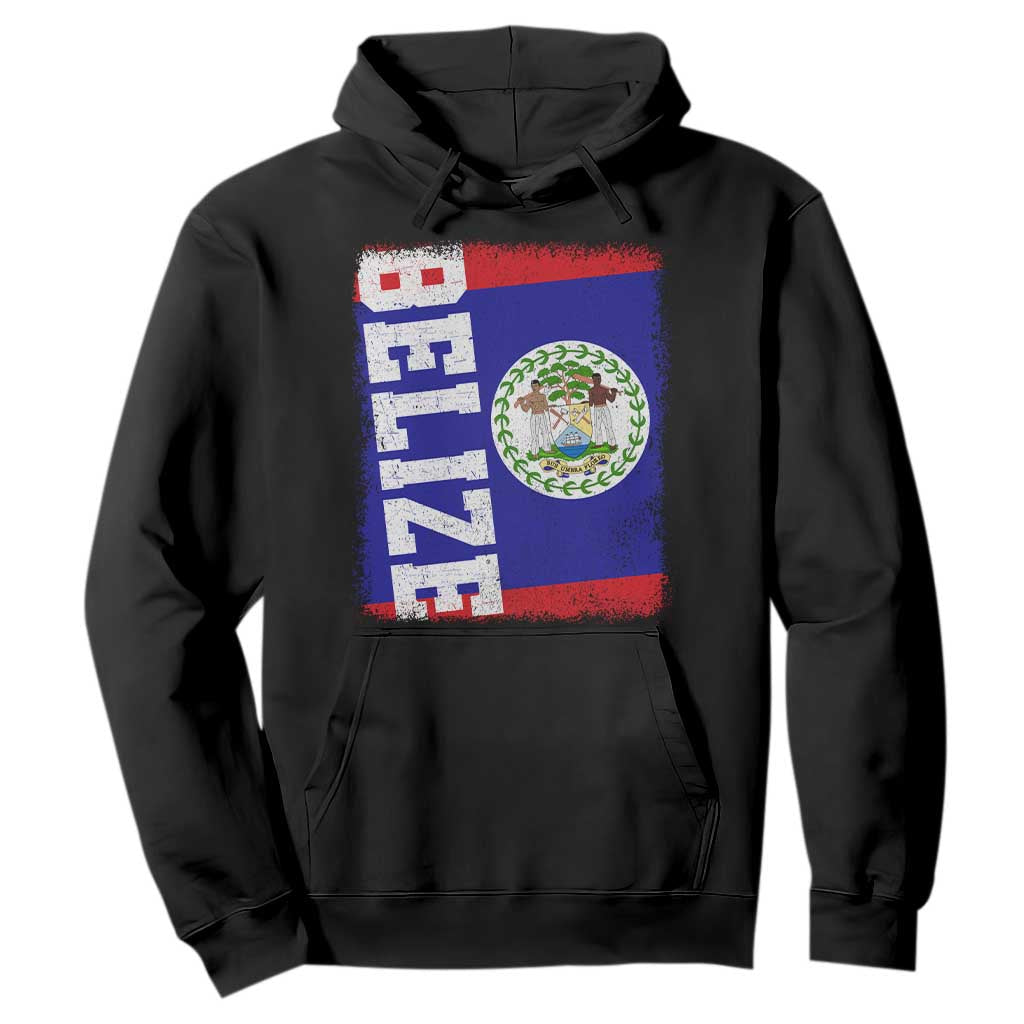 Vintage Belize Hoodie Distressed Flag Central American Pride Heritage Gift TS10 Black Print Your Wear