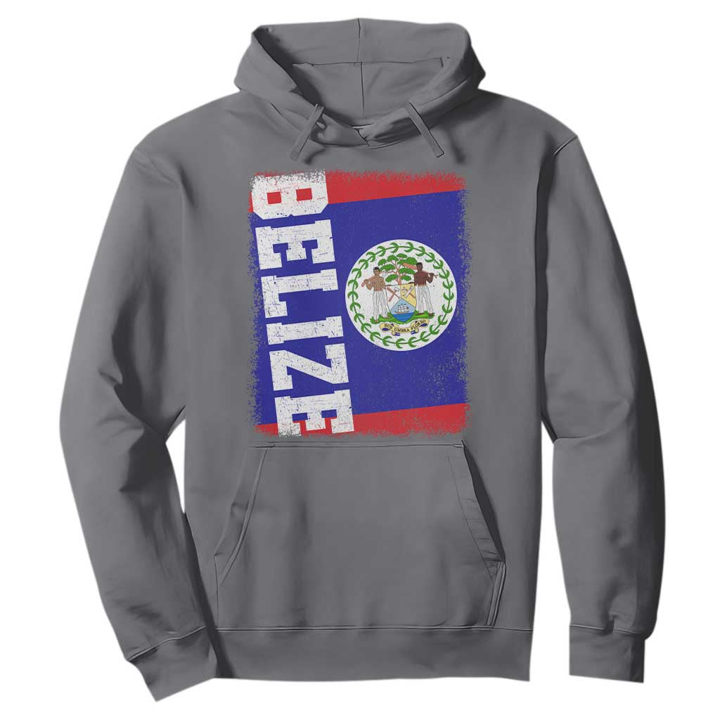 Vintage Belize Hoodie Distressed Flag Central American Pride Heritage Gift TS10 Charcoal Print Your Wear